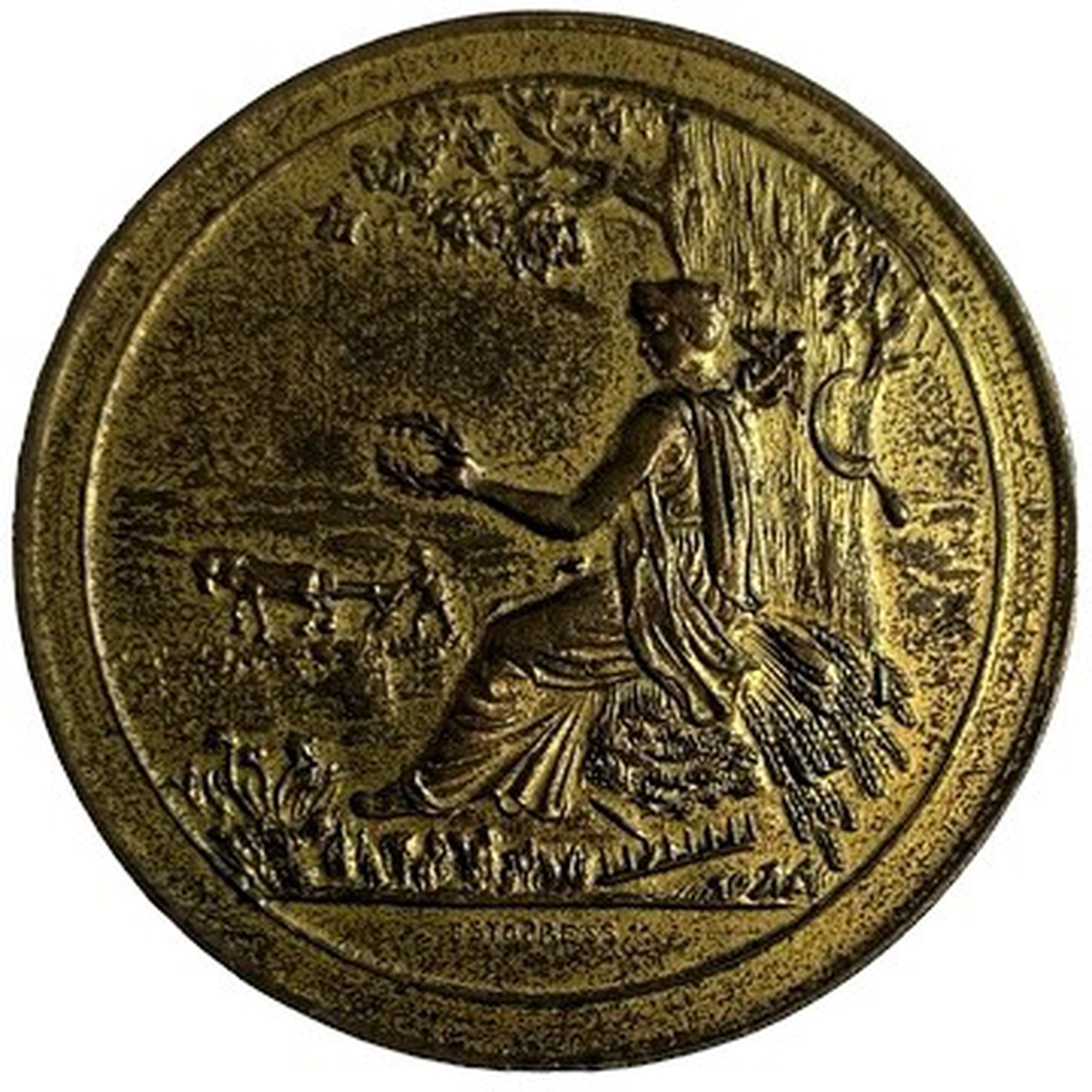 Медаль Российская империя Эстляндия Эстонское общество Пчеловодства 1871 год