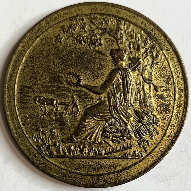 Медаль Российская империя Эстляндия Эстонское общество Пчеловодства 1871 год